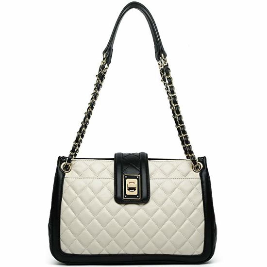 Lady Handbag Lady Handbags Fashion Handbag PU Handbag Ladies Bag Leather Handbags Designer Handbags (WDL01415)