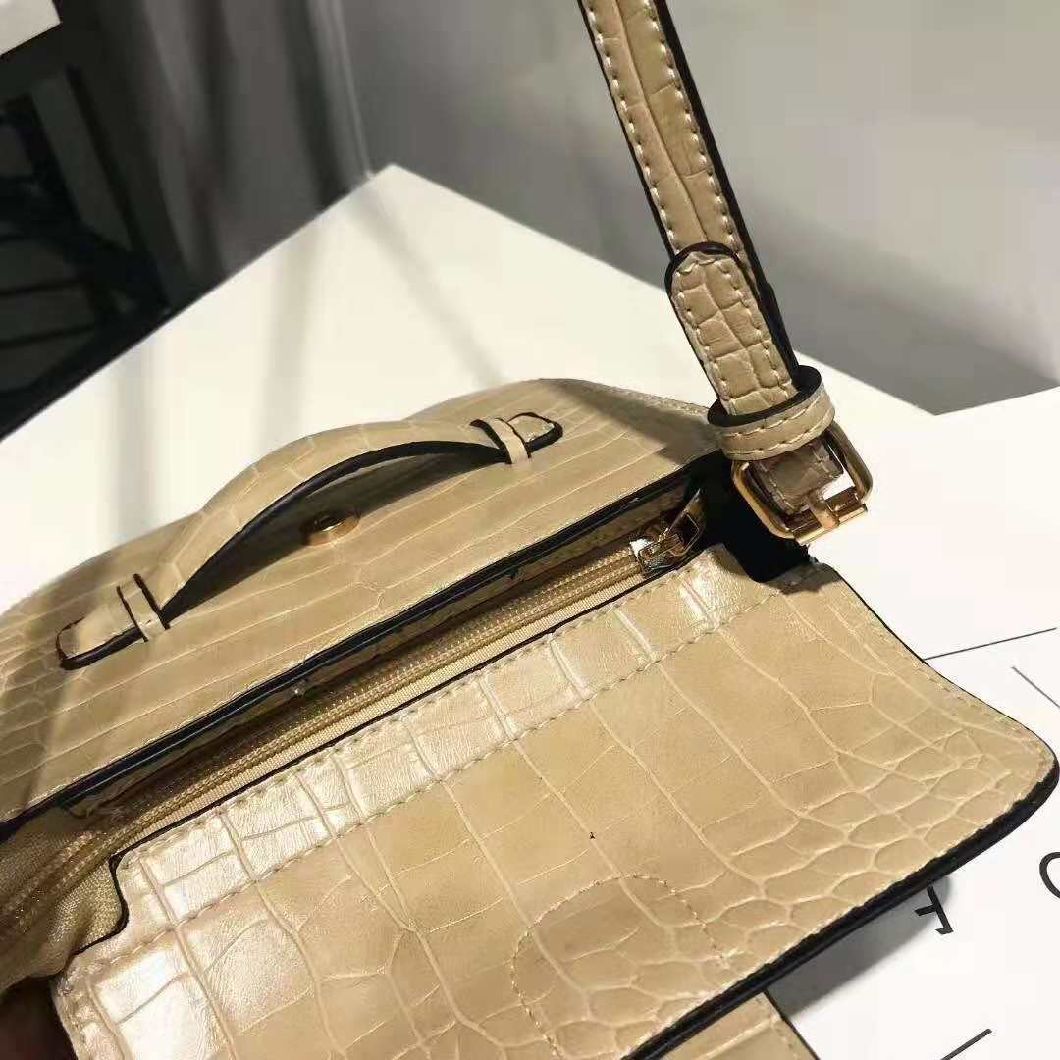 Lady Handbags Wholesale Fashion Handbags Leather Handbags Tote Bag Lady Handbag Woman Handbag (WDL014552)