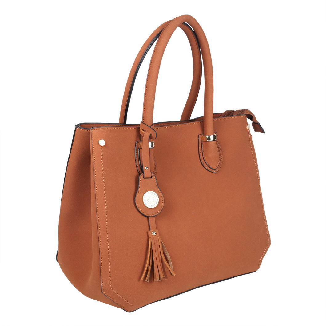 Lady Handbags Wholesale Fashion Handbags Leather Handbags Designer Handbags Tote Bag Printed Bags (WDL014536)