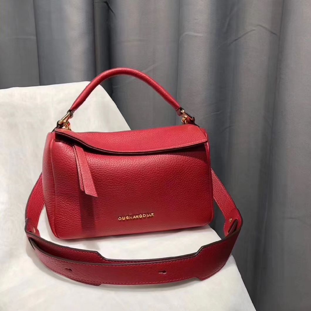 Lady Handbags Wholesale Fashion Handbags Leather Handbags Tote Bag Lady Handbag Woman Handbag (WDL014559)