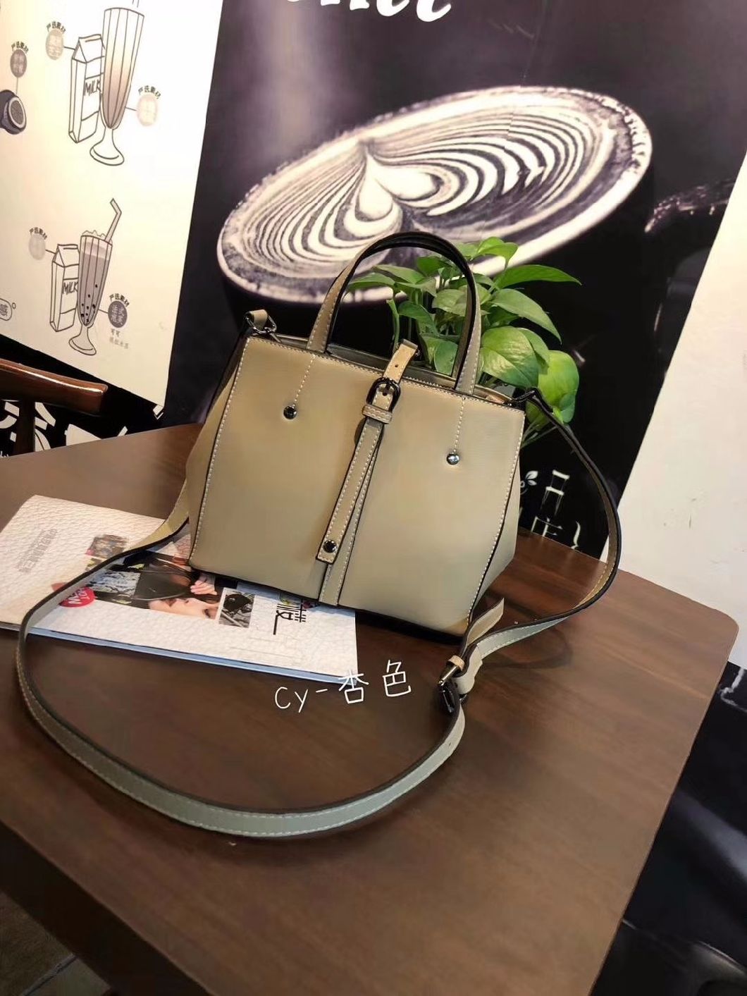 Pupolar Lady Handbag Ladies Handbag Fashion Bag Ladies Bag PU Leather Handbag OEM/ODM Handbags (WDL01149)