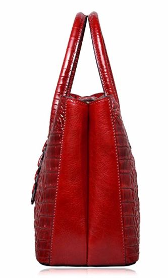 Handbags Lady Handbag Handbag Tote Bag Hand Bag Lady Handbags Designer Handbags Fashion Handbag Fashion Bags (WDL01482)
