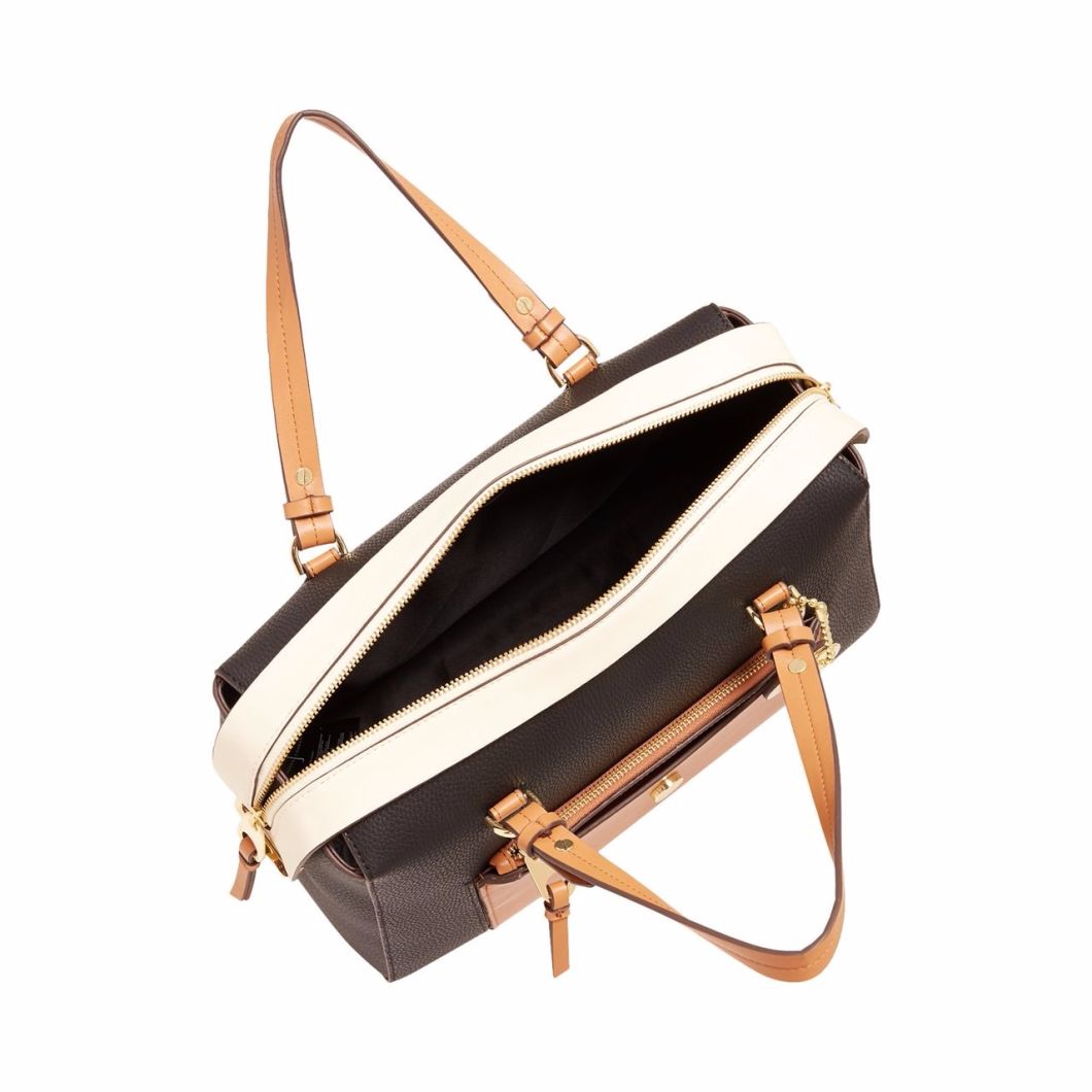 Handbag Lady Handbags Hand Bag Leather Handbags Fashion Handbag Designer Handbag Designer Lady Handbag Ladies Bag Tote Bag Ladies Handbag (WDL014652)