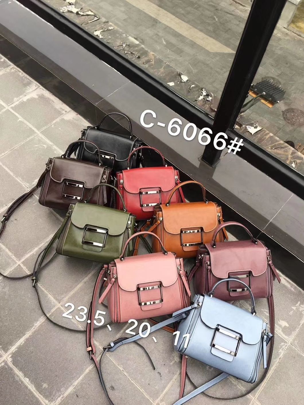 Handbags Popular Lady Handbag Ladies Handbag Fashion Bag PU Leather Bags Women Handbag (WDL01156)