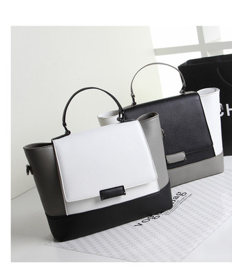 Lady Handbag Fashion Lady Handbag Designer Handbag Women Bag Tote Bag (WDL01309)