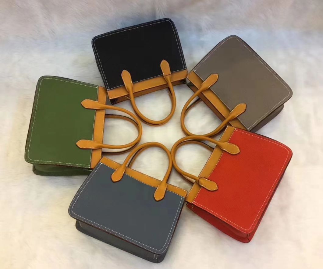 Lady Tote Popular Lady Handbag Ladies Handbag Fashion Bag PU Leather Handbag Leather Handbags Designer Handbag ODM/OEM Handbag (WDL01158)