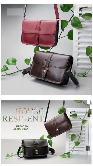 Simple Lady Promotion Crossbody Handbag Shoulder Bag Women Bag (WDL0228)