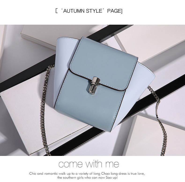 Nice Designer Lady Handbag with Chain Strap Popular Handbag Clutch Bag Crossbody (WDL0227)