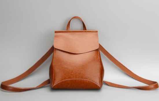 PU Backpack, Lady Backpack, Fashion Bag, Lady Bag, New Design Backpack Popular Lady Backpack (WDL0110)