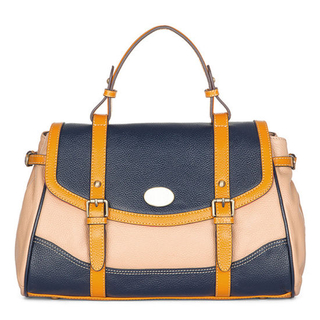 Classic Satchel Women Handbags PU Leather Handbag Lady Bag (WDL0726)