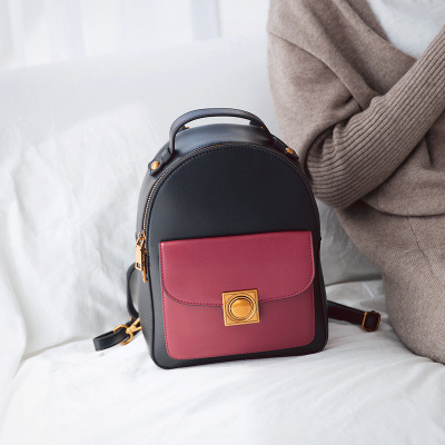 Women Backpack, Lady Backpack, Fashion Backpack Female Backpack Popular Backpack (WDL0056)