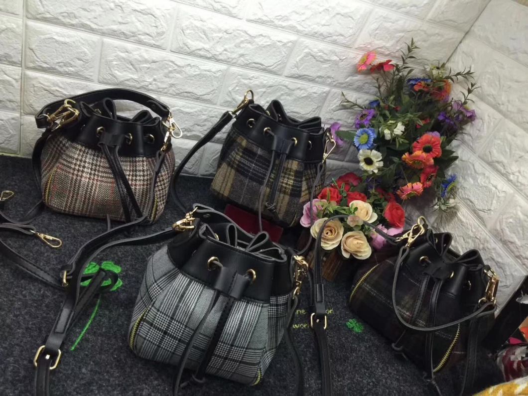 Fashion Bucket Bag, Lady Handbag, Nice Design with Good Price Bag Popular Lady Handbag (WDL0103)