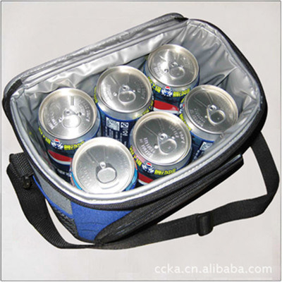 Cooler Bag Custom Cooler Bag Lunch Bag Promotional Bag Wine Bag Wine Coler Bag Picnic Bag Ice Bag Lunch Cooler Bag (WDL01195)