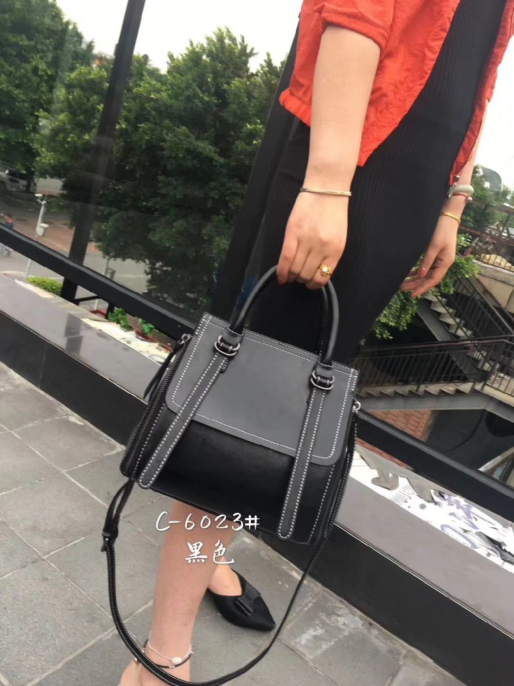 Ladies Handbag Fashion Bag Ladies Handbags Popular Handbag Women Handbag Designer Handbag Classic Women Bag (WDL01157)