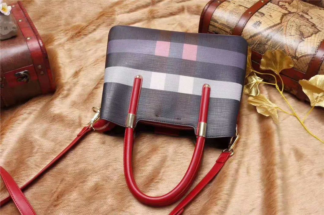 Lady Handbags Wholesale Fashion Handbags Leather Handbags Tote Bag Lady Handbag Woman Handbag (WDL014554)