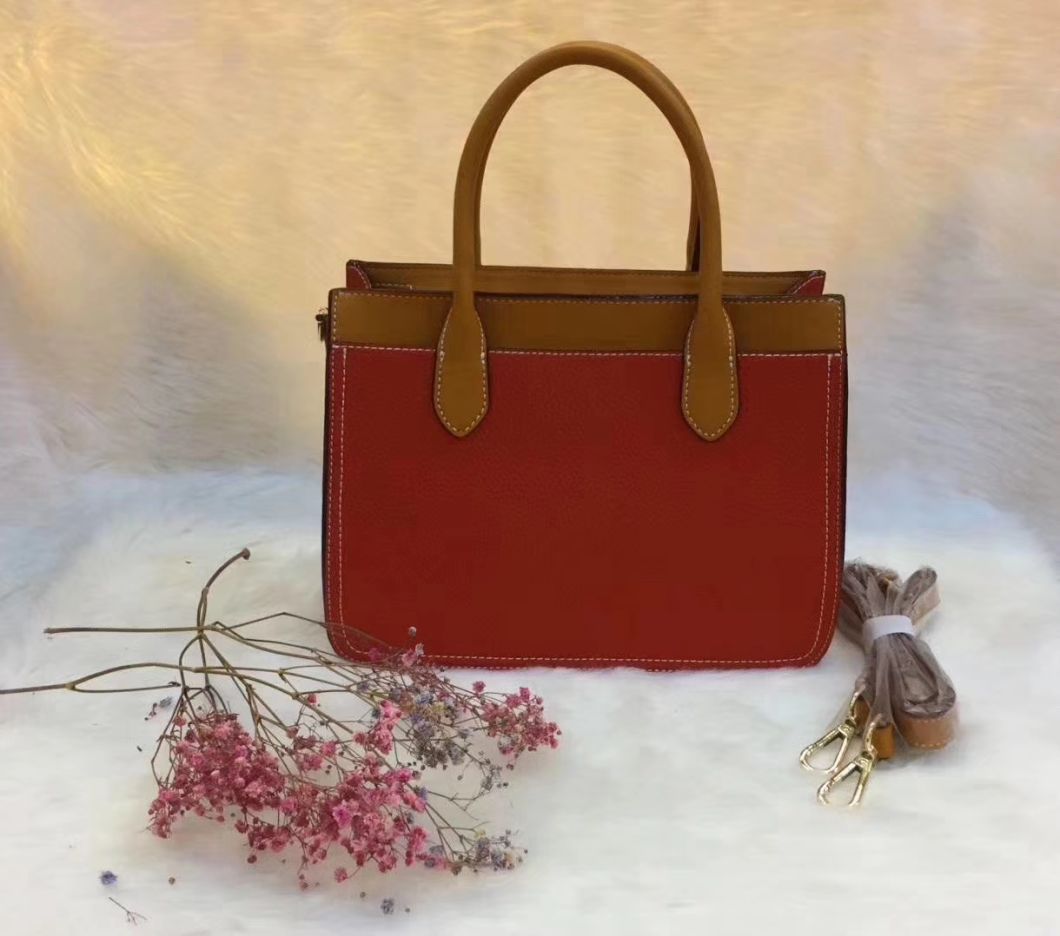 Lady Tote Popular Lady Handbag Ladies Handbag Fashion Bag PU Leather Handbag Leather Handbags Designer Handbag ODM/OEM Handbag (WDL01158)
